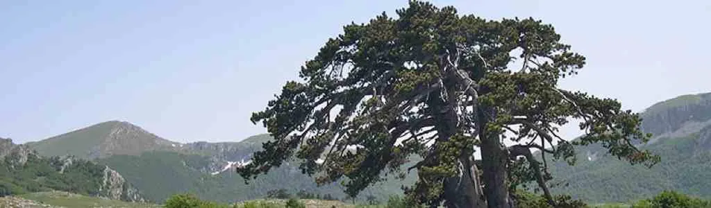 parco del pollino