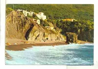 MARINA 1979