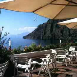gabbiano maratea